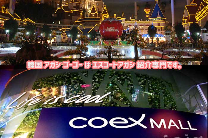 ソウル アガシエスコート ソウル アガシエスコート