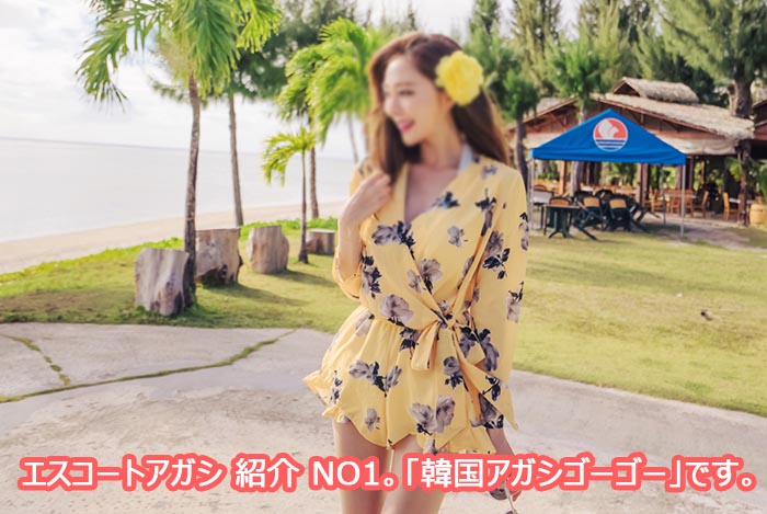 エスコートアガシブームちゃん エスコートアガシブームちゃん