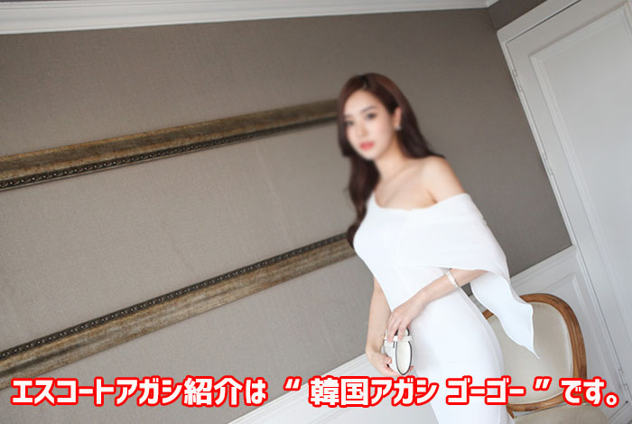 韓国夜遊びエスコートアガシ 韓国夜遊びエスコートアガシ