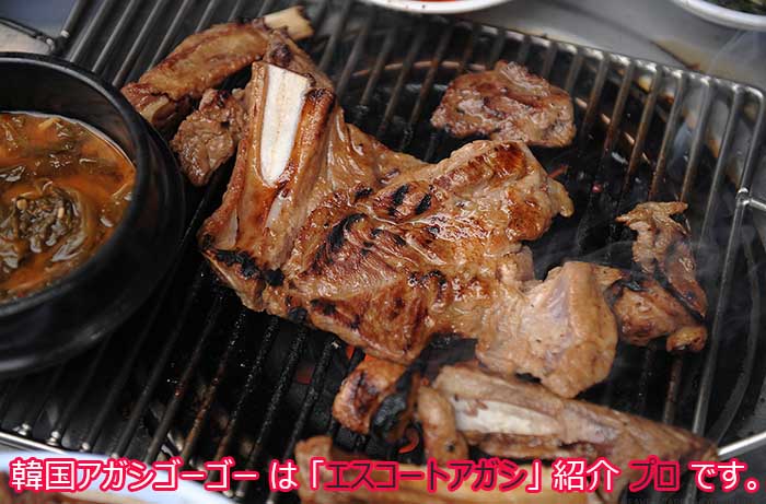 韓国アガシ ウソンカルビ 韓国アガシ ウソンカルビ