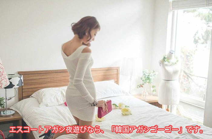 韓国 夜遊び ソウル アガシ 韓国 夜遊び ソウル アガシ