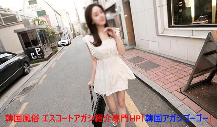 韓国風俗 エスコートアガシ 韓国風俗 エスコートアガシ