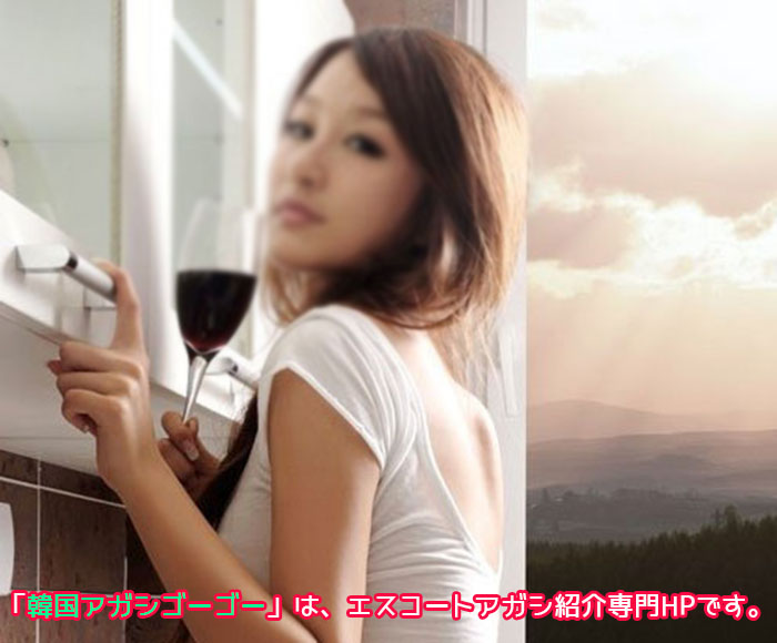 韓国夜遊び エスコートアガシ 韓国夜遊び エスコートアガシ