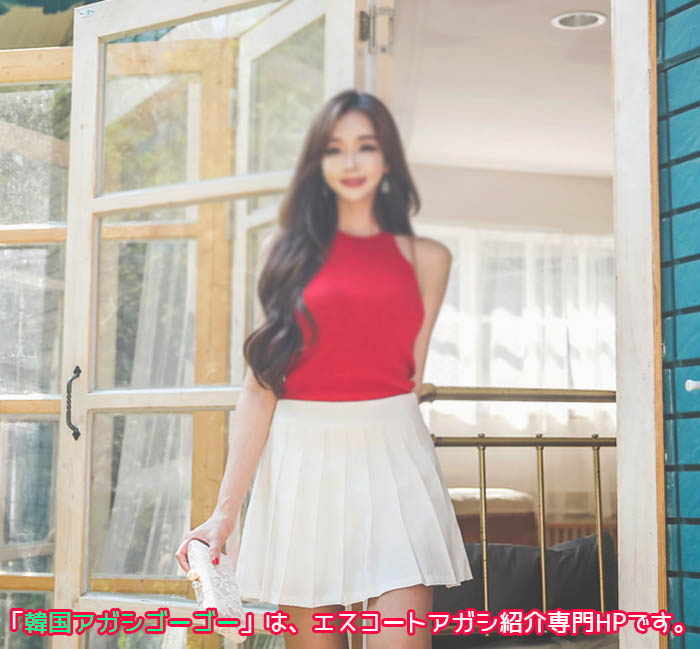 韓国 アガシ 夜遊び エスコートアガシは利用料金が一番安い4万円(お勧めしたくありません。)から15万円、20万円の高級韓国アガシもあります。 韓国アガシ