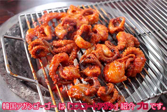 最近、韓国のグルメメディアにも放送されたみたいです。 エスコートアガシとチュクミプルコギ