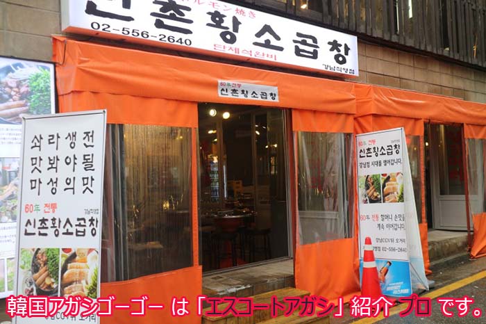 新村黄牛ホルモン(江南店) 韓国アガシと食べるホルモンは本当に美味しいです。 韓国アガシとエスコートアガシ