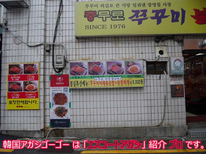 韓国にご旅行に来られた方で、野菜に活タコを巻いて食べられた方は少ないと思います。 韓国アガシとチュクミプルコギ