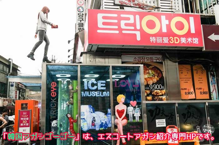 エスコートアガシとトリックアイ美術館 エスコートアガシとトリックアイ美術館