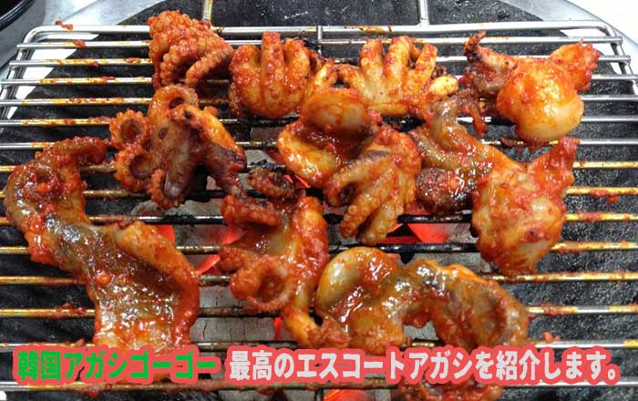 エスコートアガシとグルメ チュクミプルコギ エスコートアガシとグルメ チュクミプルコギ