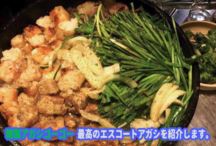 エスコートアガシ お勧めグルメスポット 新村黄牛コプチャン エスコートアガシ お勧めグルメスポット 新村黄牛コプチャン