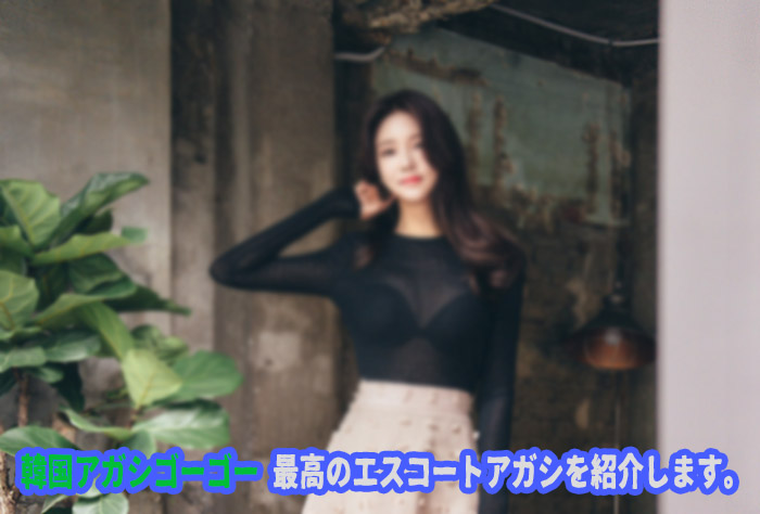 韓国風俗は、韓国アガシを含め基本的に日本語を話すことができません