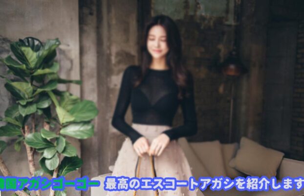 エスコートアガシソウル 風俗 で人気のあるソウル夜遊びです。人気の理由が必ずあります。