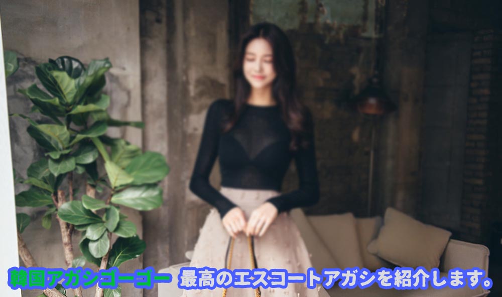 エスコートアガシソウル 風俗 で人気のあるソウル夜遊びです。人気の理由が必ずあります。